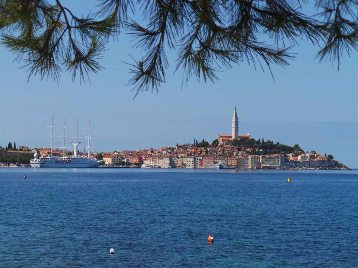 Apartment In Rovinj/Istrien 11735 Exterior photo
